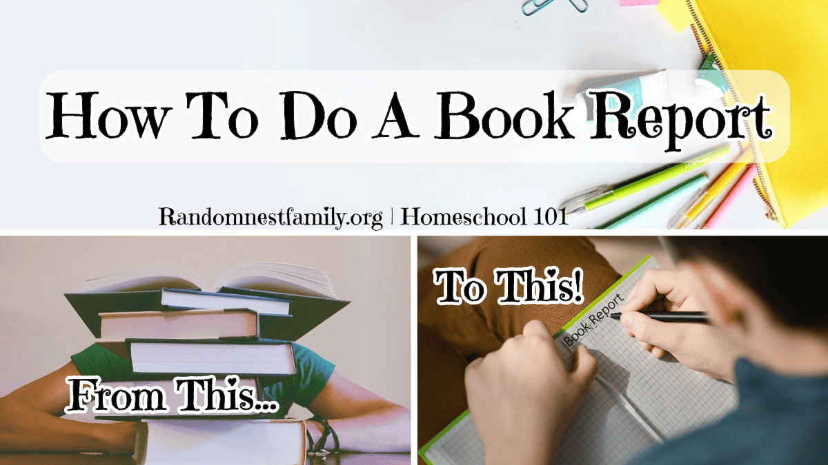 how to Do a Book Report image