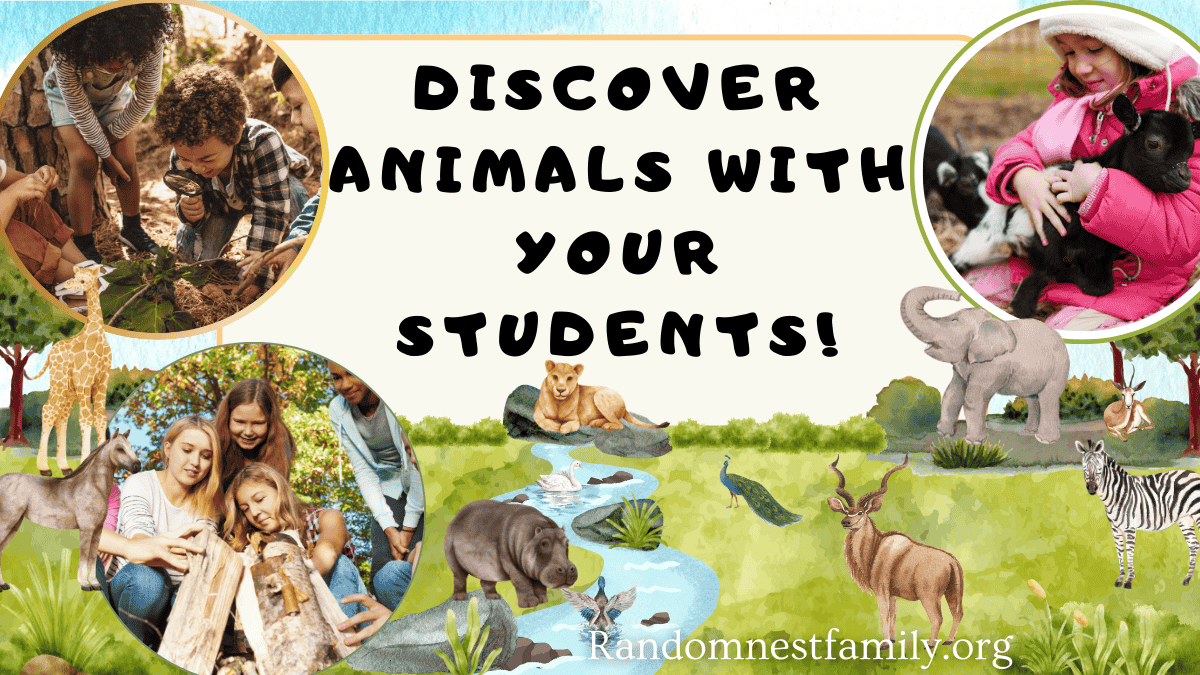 How To Discover Animals in an Animal Unit Study Adventure! | Randomnestfamily.org